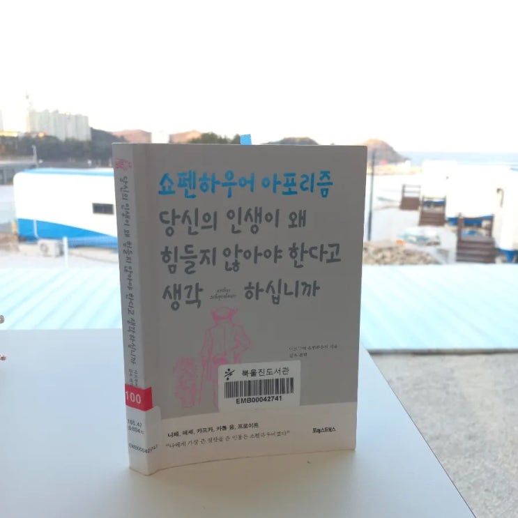  쇼펜하우어 아포리즘 당신의 인생이 왜 힘들지 않아야 한다고  생각하십니까 아르투어 쇼펜하우어 지음 김욱 편역