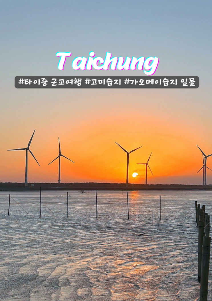  타이중 근교여행 고미습지 일몰명소 가오메이습지 옷차림 준비물