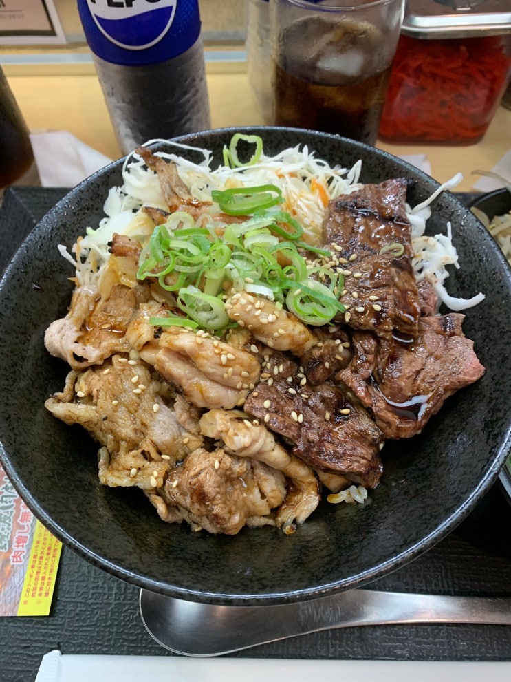  일본 오사카 자유여행 맛집 [고기극장][고기덮밥][덴덴타운]