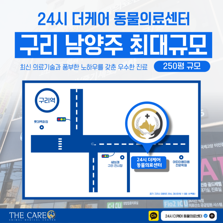  남양주 동물병원 건강검진 체크리스트