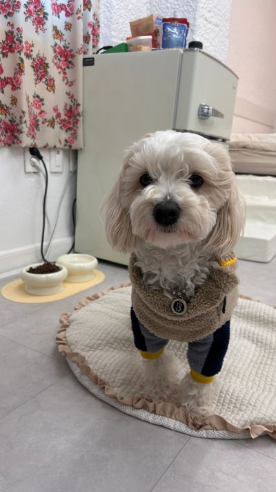 사진 3