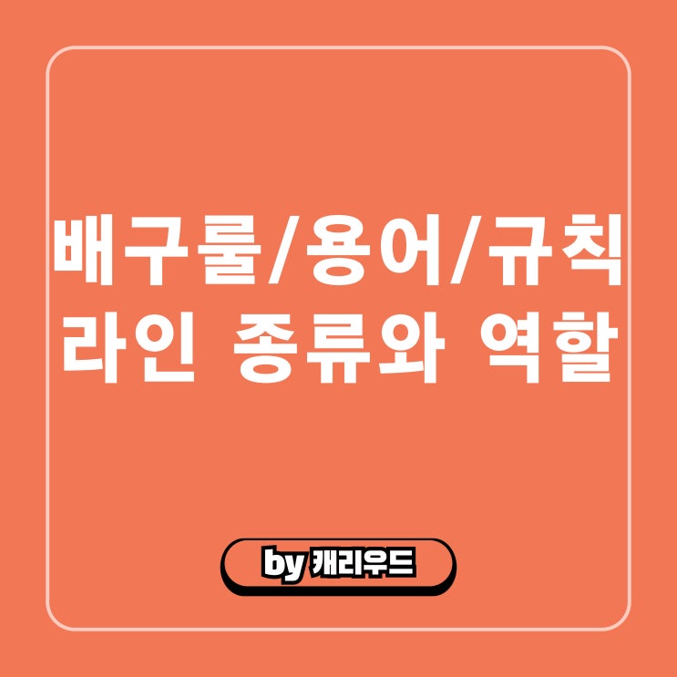  배구 코트 규격 라인 선 종류 역할 룰 서비스 존 경기 규칙
