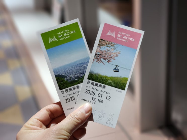  삿포로 눈축제 모이와산 모이와야마 전망대 케이블카 야경