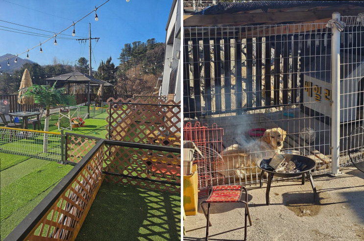  가평애견풀빌라, 소중한 추억을 만든 휴식 공간
