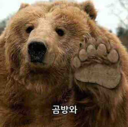  [율밥퍼] SAP ABAP - NEW SYNTAX 2 ( COND, SWITCH, NEW, || )
