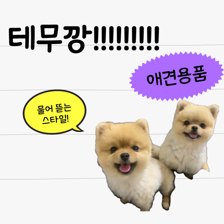  테무 애견용품 물어뜯는 강아지 장난감 솔직 후기