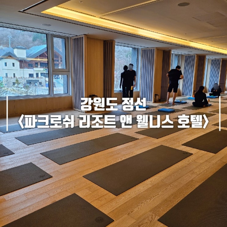  강원도 정선 파크로쉬 리조트 웰니스 프로그램, 수영장, 사우나 이용 후기 및 주의사항 총정리