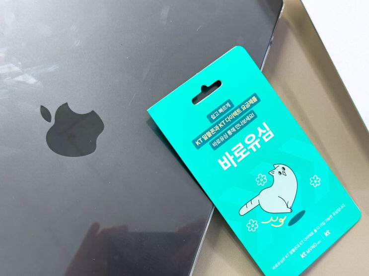 선불폰 요금 미납 문제 없이 개통