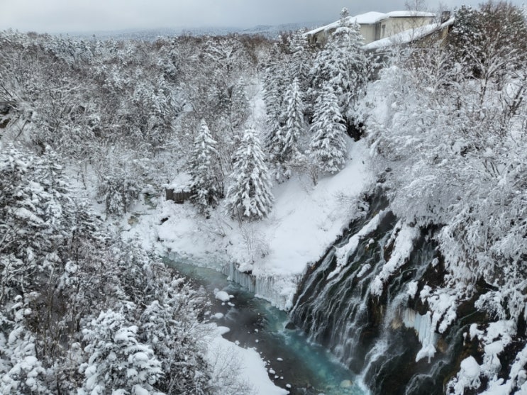  3편 비에이 투어 준페이 도시락 / 일본 홋카이도(北海道) 삿포로 오타루 운하 / 4박 5일 여행