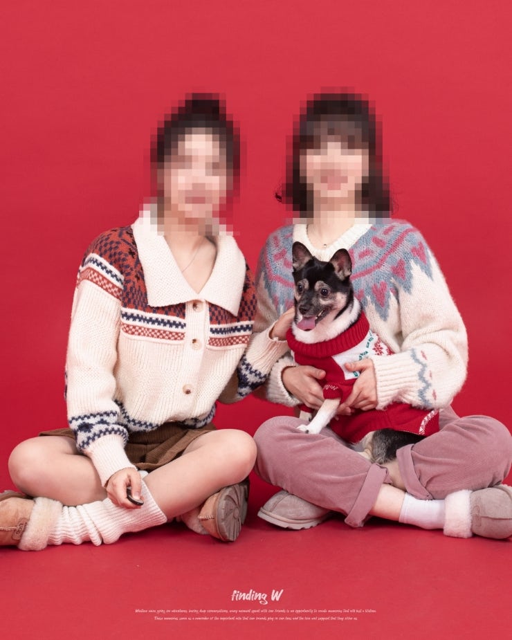  문래 사진관 셀프 가능한 프레임그라운드 스튜디오 애견동반 촬영후기