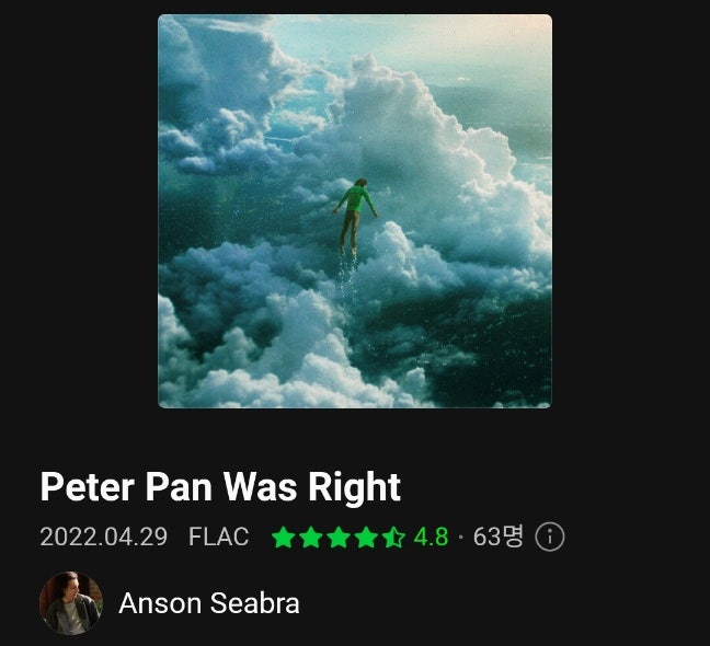  잔잔한 울림팝송 Peter Pan Was Right 앤슨 세아브라 가사해석