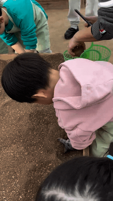  수원 포시즌힐링팜, 농촌체험, 다양한 체험, 아이와 가볼 만한 곳