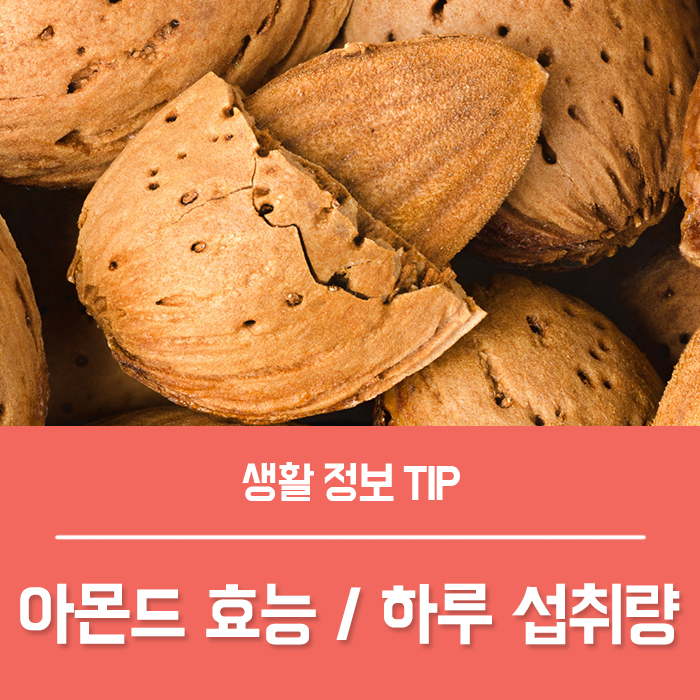  아몬드효능 TOP5, 아몬드 1개 칼로리, 아몬드하루섭취량 부작용은?