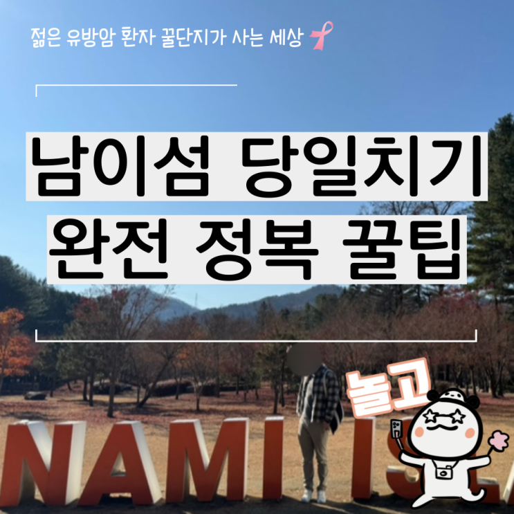  서울에서 남이섬 겨울 당일치기 여행 완전 정복 코스