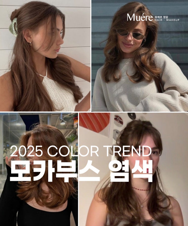  도산공원 미용실, 2025 유행할 커트 펌 염색 추천!