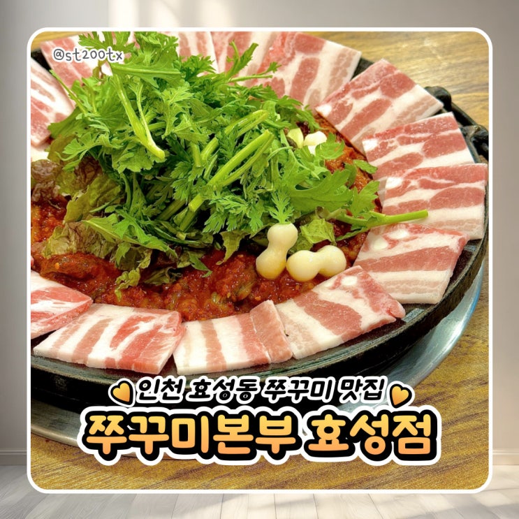 인천 효성동 매콤 쭈꾸미 맛집 추천 또간집 쭈꾸미본부 내돈내산