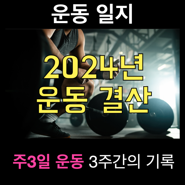 2024년 근력 운동 결산(nSuns531과 기초 체력 향상) 2024년 근력 운동 결산(nSuns531과 기초 체력 향상)