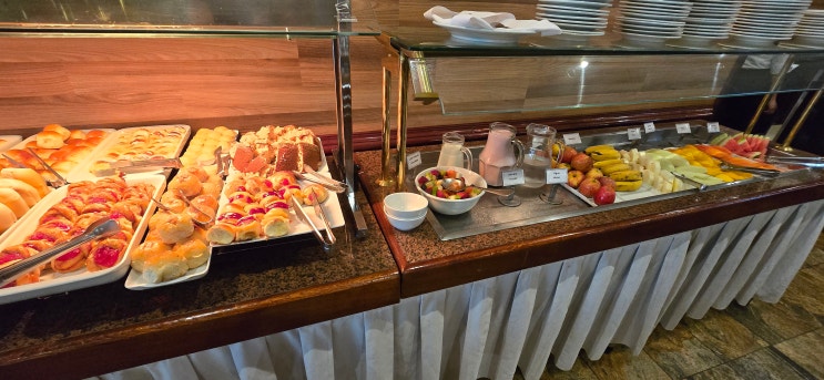  [RIO AEROPORTO HOTEL GALEAO] 리우데자네이루 공항 근처 추천 호텔_내돈내산 후기(+조식 및 석식, 세탁비 가격)