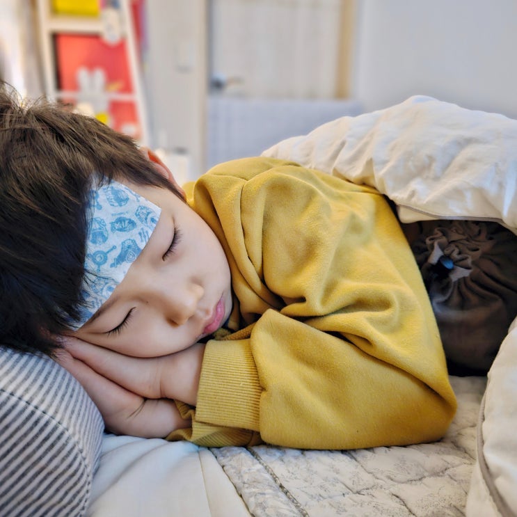 아이 독감 인플루엔자 걸린 후기 : 구토 설사 증상 잠복기 격리 주사 수액