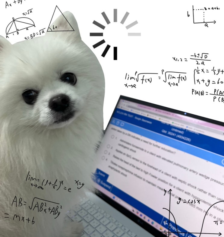  엔클렉스 공부법 강의추천 | NCLEX-RN 유월드 후기 + 심플널싱 10% 할인 + Pixorize + 챗GPT + 기출문제 오카방