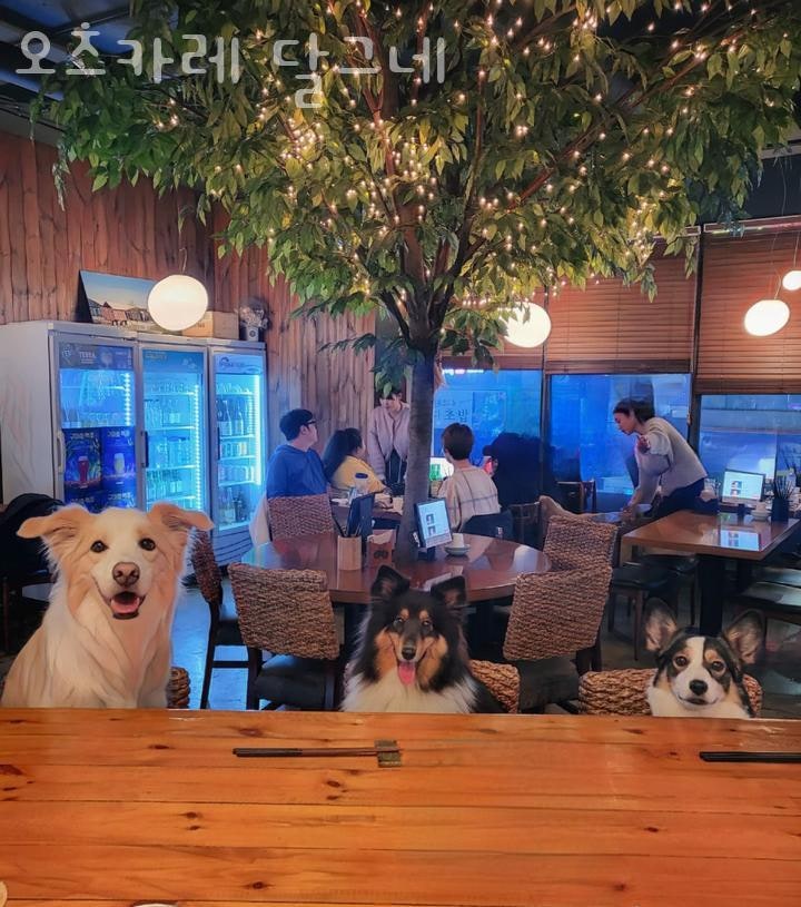 오츠카레 달그네