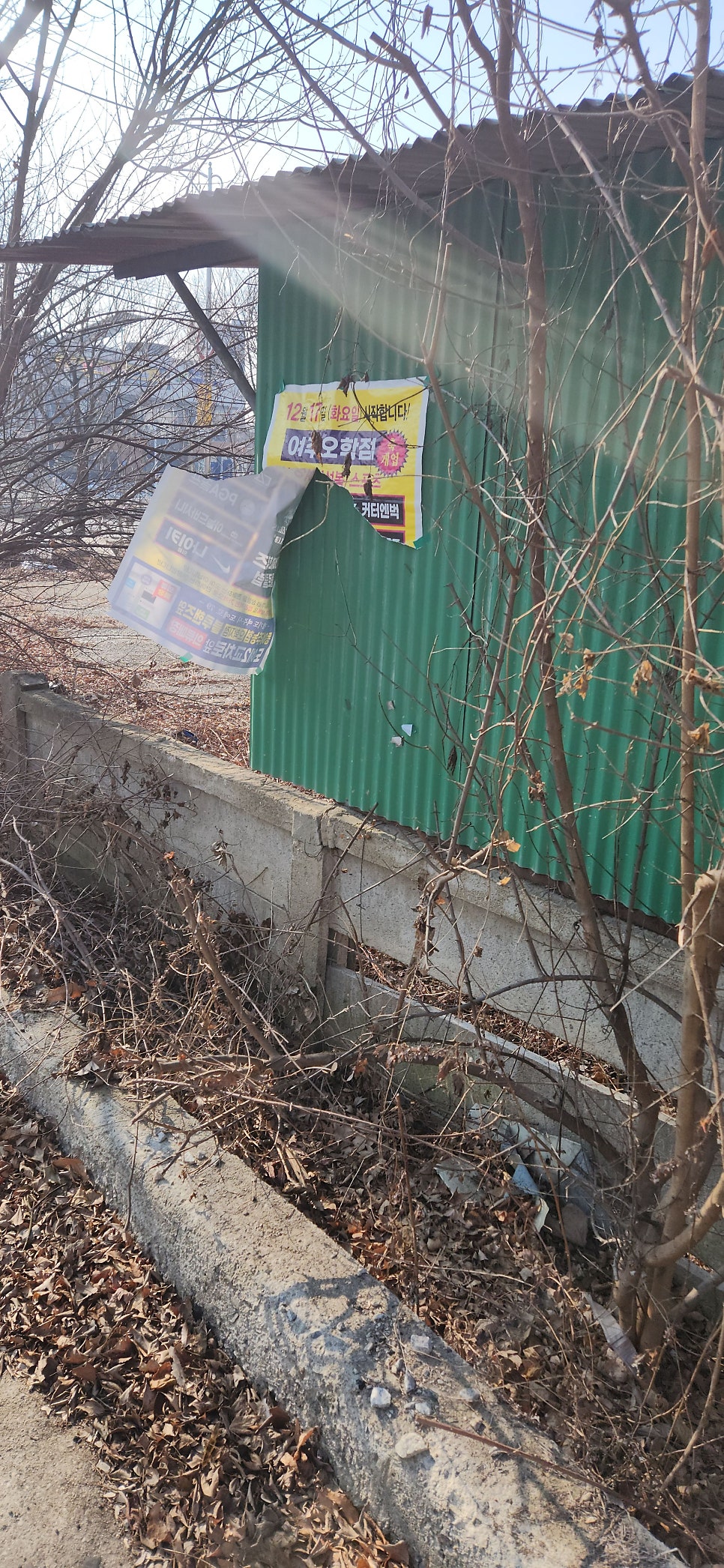 깡촌 사진 1