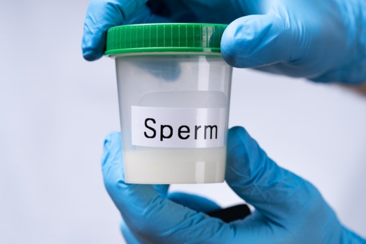 정액량이 줄어든다고? 정력과의 관계, 사실은 이렇게 정액량이 줄어든다고? 정력과의 관계, 사실은 이렇게