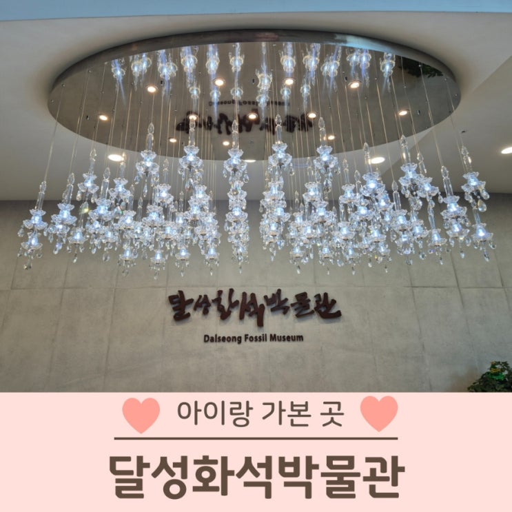  달성화석박물관 아이랑 가볼만한 곳 내돈내산 솔직후기