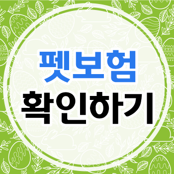 팻보험 확인하고 팻보험료 준비해보세요