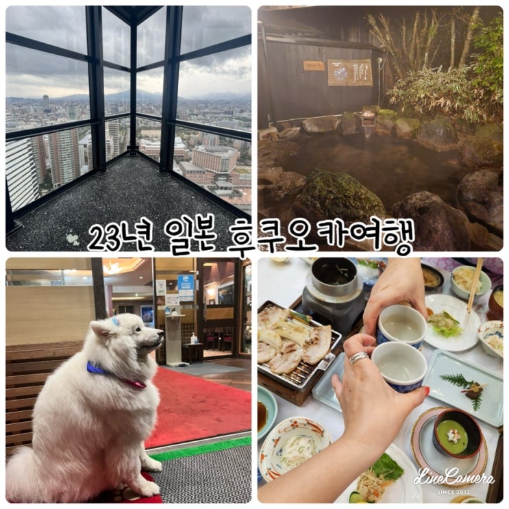  일본 후쿠오카 우정여행(후쿠오카 타워,쿤쵸양조장, 마메다마치, 구스군 고코노에마치 료칸)