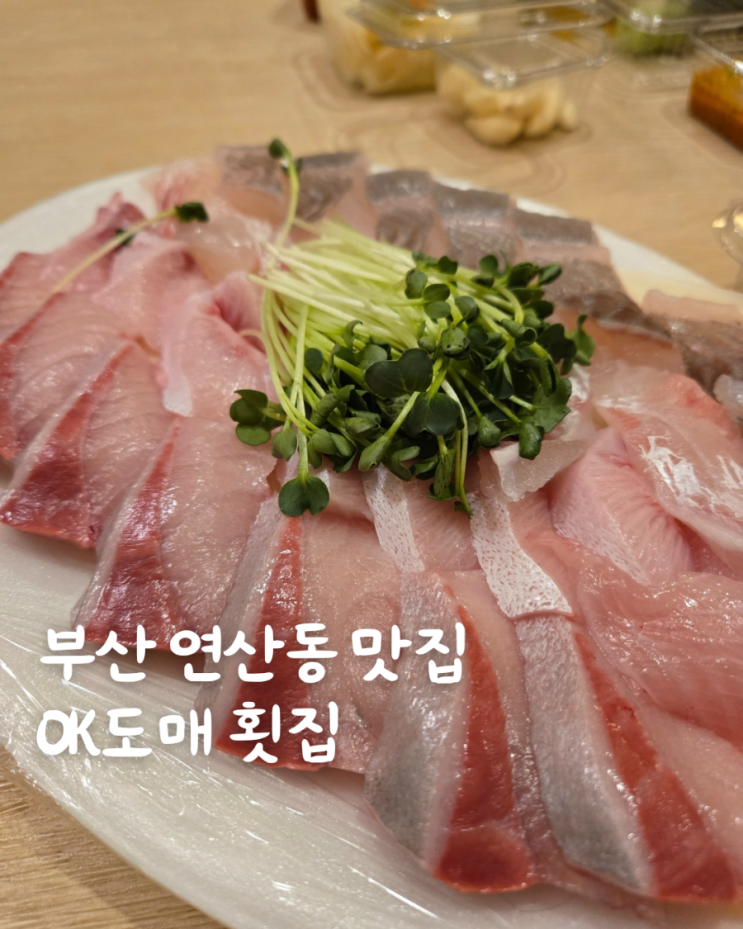  부산 연산동 맛집 OK 도매 횟집 대방어 모둠회 포장