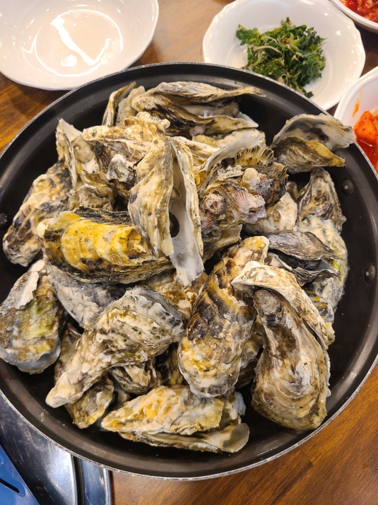  태안맛집 연포탕 굴찜 너무 신선해 | 애견동반가능 신두리식당