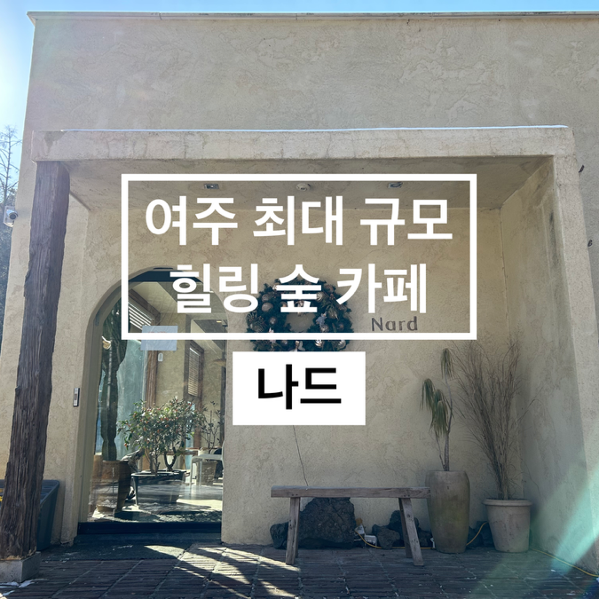 사진 3