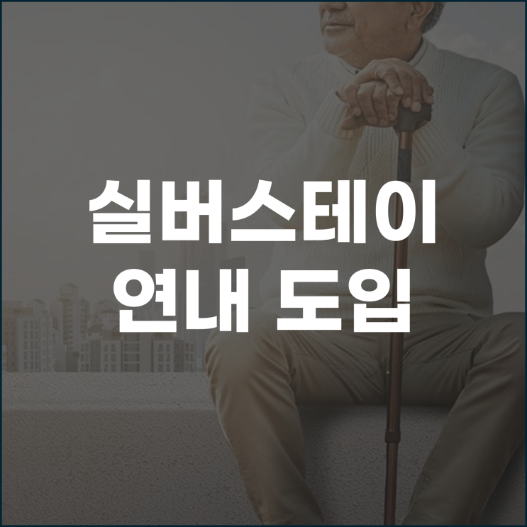  고령자 민간임대주택 실버스테이 연내도입