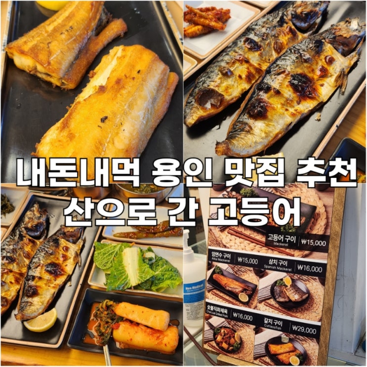  [용인] 고기리 맛집 추천 산으로간 고등어 주차 및 웨이팅