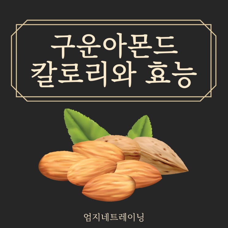  구운아몬드 칼로리 효능과 함께 알아보는 다이어트 팁