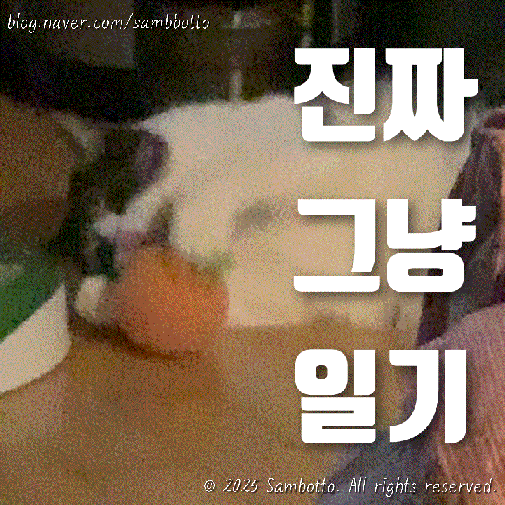  진짜 그냥 일기 | 직장인 쌈밥 도시락 | 고구마 우유 조림(고구마 우유 범벅) | 배달음식의 신세계, 쌈밥 | 을지로 나들이 | 자유로 차차밀 | 콜렉티보 비비키링