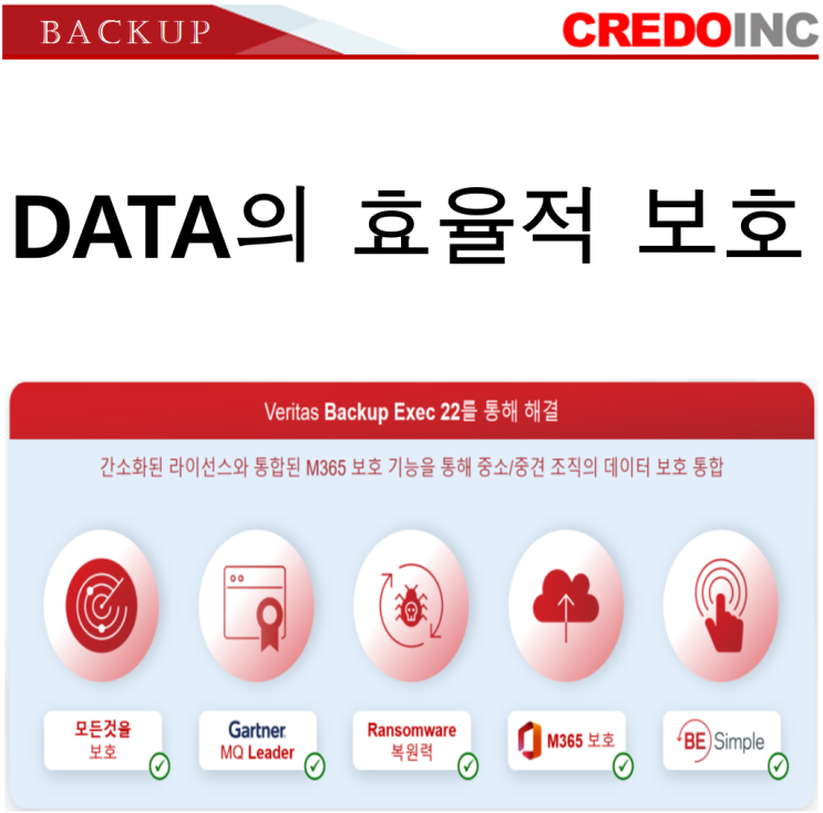  Backup Exec 22 (백업 이그젝)