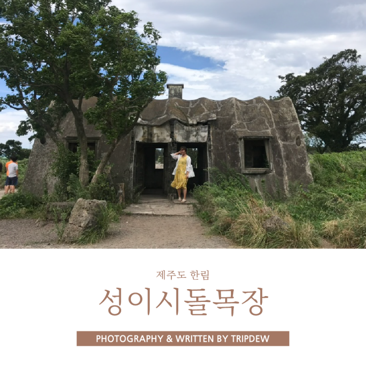  제주도 성이시돌목장 테쉬폰 운영시간