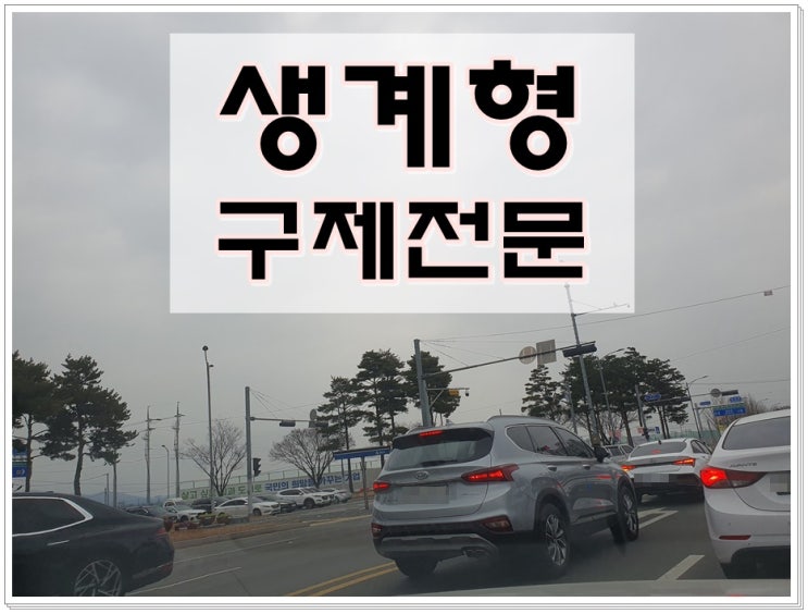  생계형음주운전면허취소 운전자구제 이의신청 행정심판