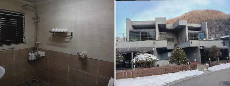  춘천 애견펜션, 대가족과 함께하기 좋은 남이섬 설리조트