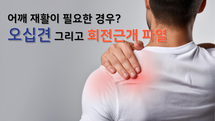  춘천 어깨 재활이 필요한 경우는? 오십견, 회전근개 파열 알아보기
