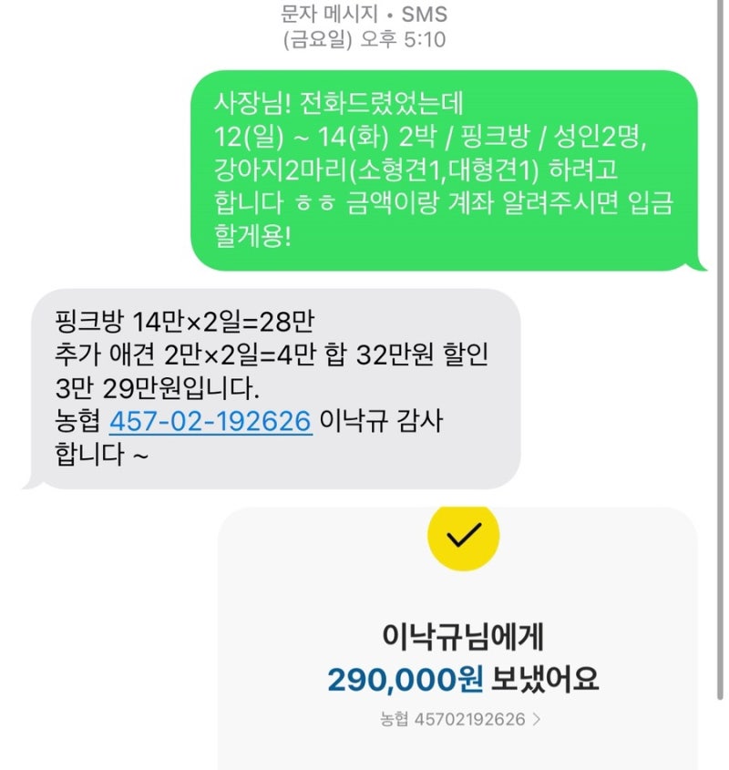 사진 5