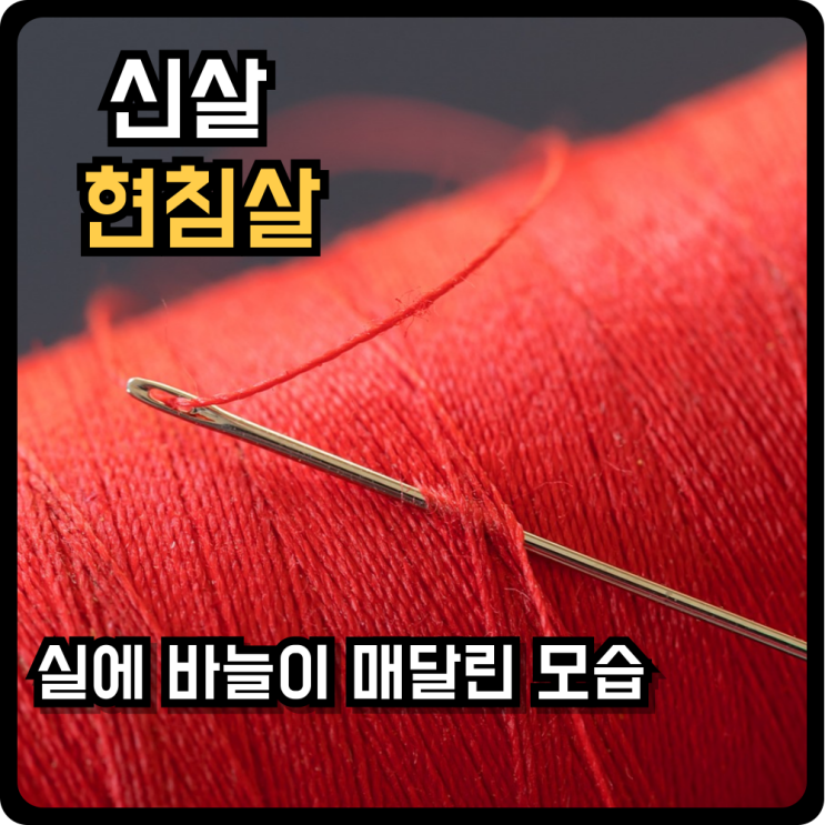  신살 "현침살"이란, 현침살 강한 일주는? 현침살 직업성은?