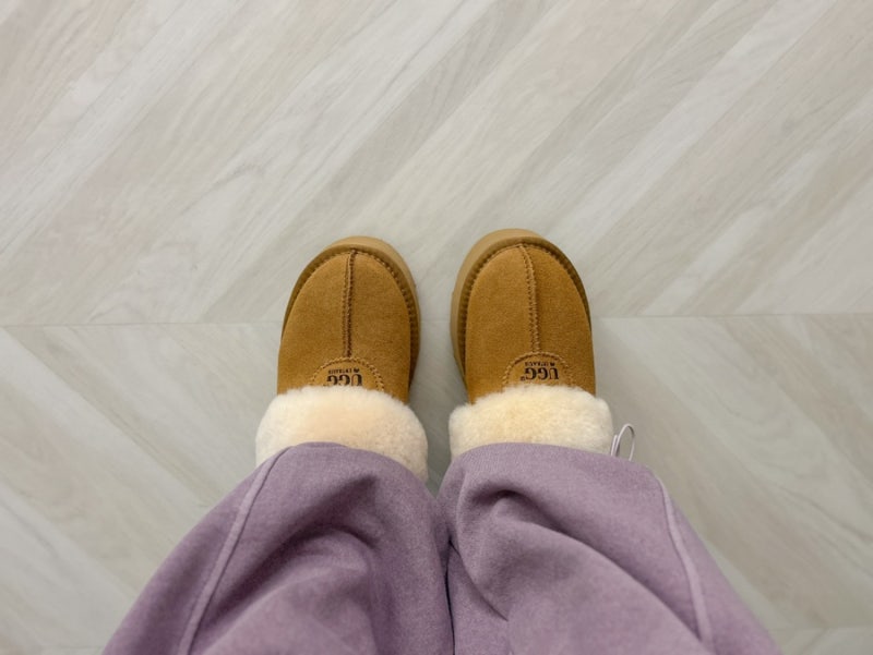 겨울 신발 추천, UGG 호주어그 디스케트 플랫폼 체스트넛 후기