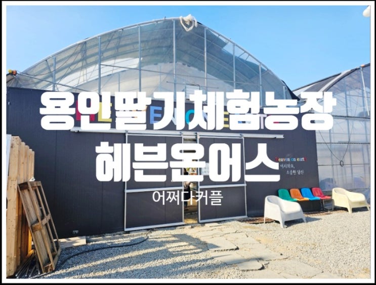  예약 없이 딸기 따기 체험, 실내 모래놀이 가능한 용인딸기체험농장