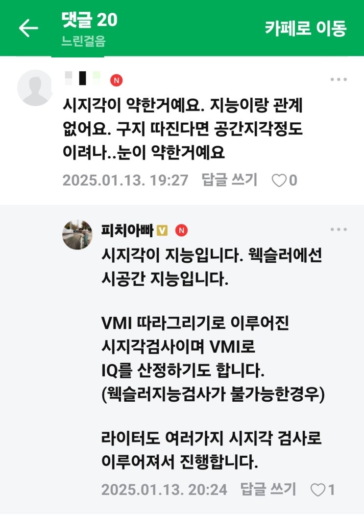  시지각이 약한 건 지능과 관계가 없다?
