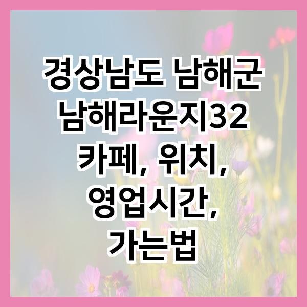 사진 5