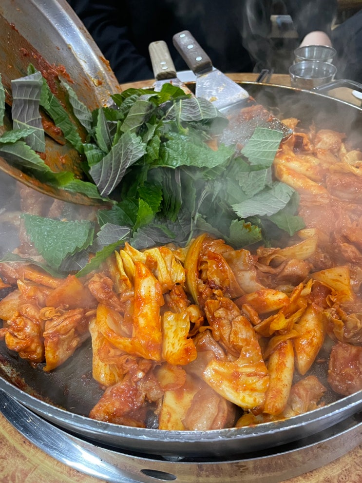  분당 정자동 정통춘천닭갈비: 춘천의 맛 그대로 맛집!