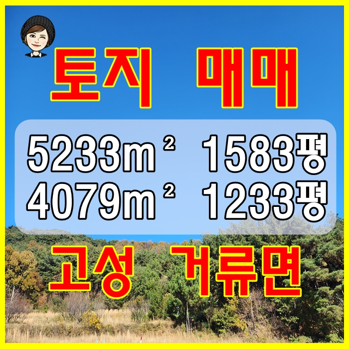  고성군 거류면 가려리 토지 매매_고성 땅 매매